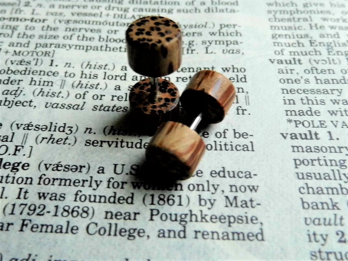 Pair of Coco Wooden Plug Stud Earrings