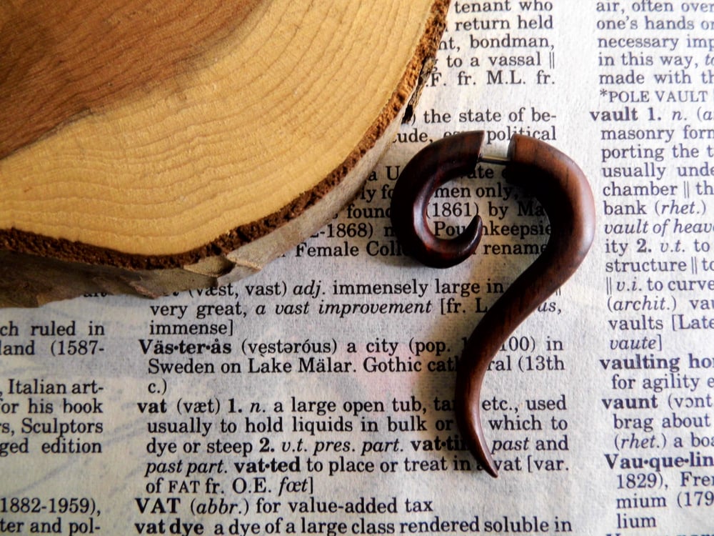 Unisex Faux Stretcher Spiral Earrings