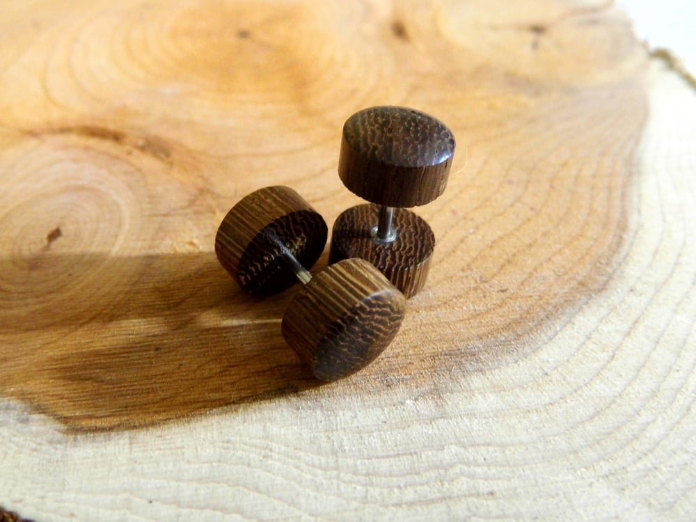 Pair of Brown Wood Earring Stud Faux Plugs