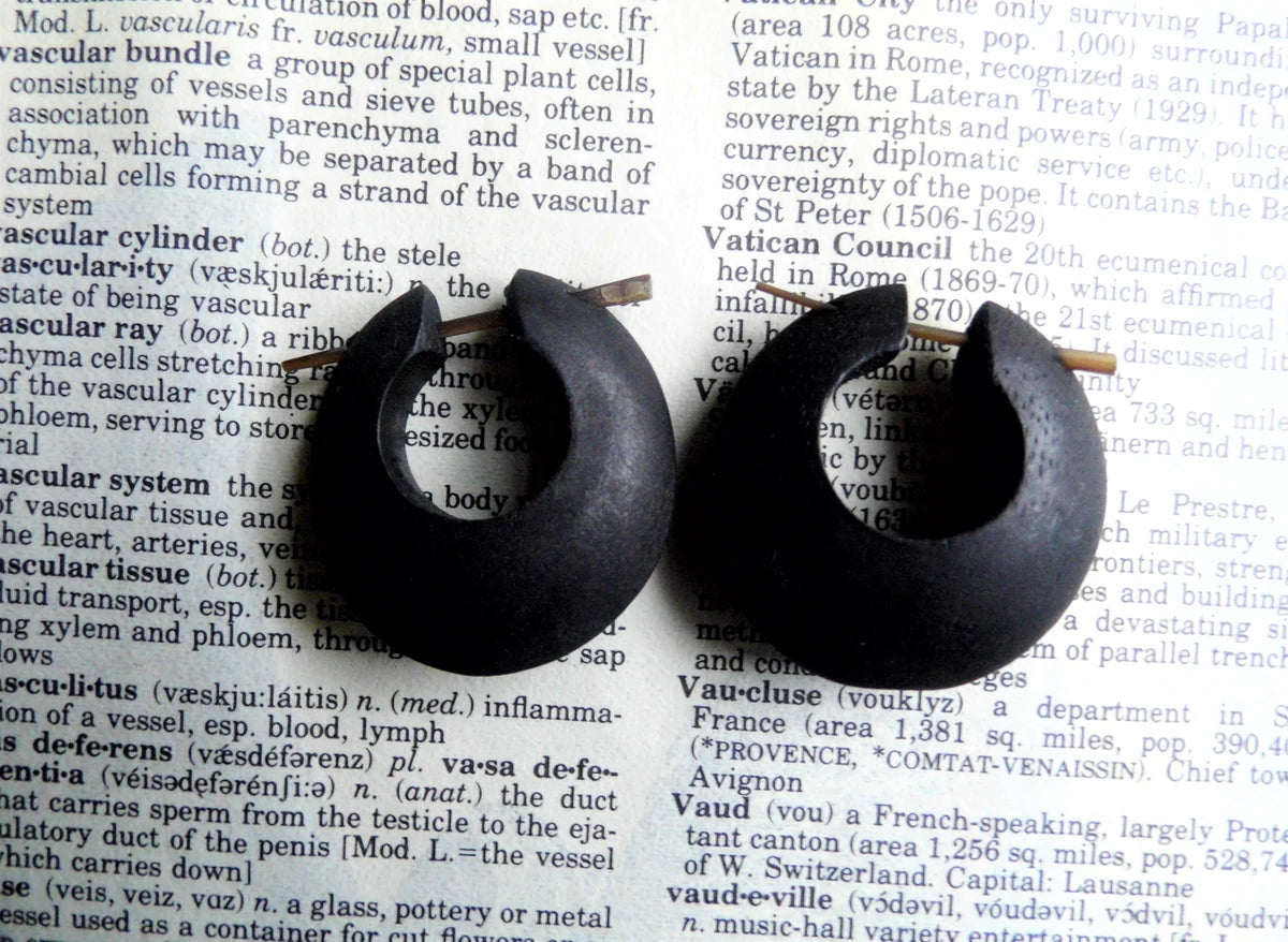 Matt Black Wooden Hoops Earrings
